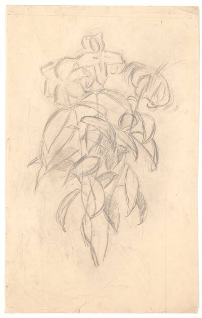 Blomsterstudie