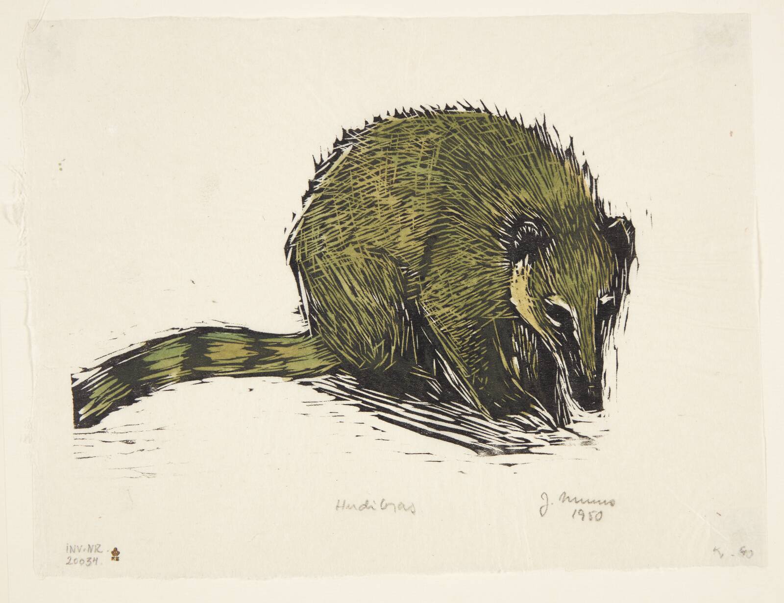 Næsebjørnen Hudibras, Jane Muus, 1950