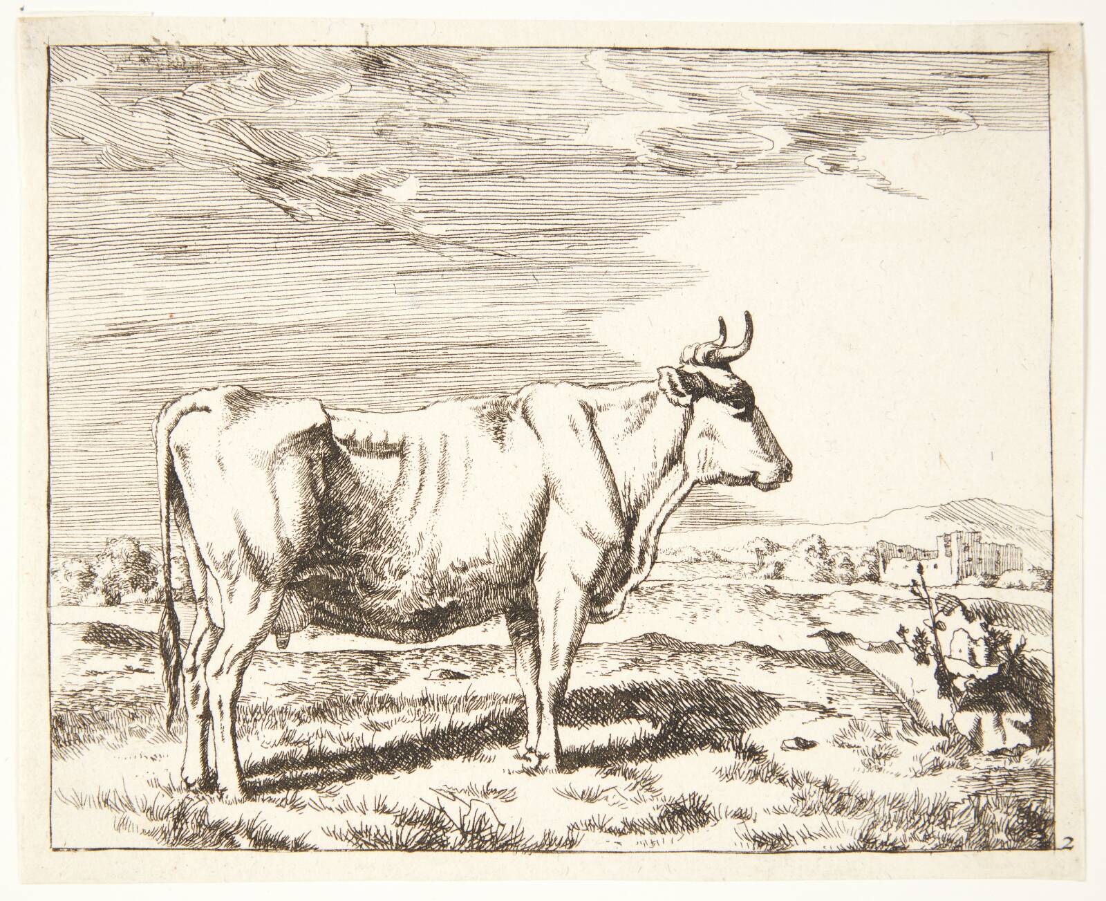 Stående ko, vendt mod højre, Marcus de Bye, 1638-1690
