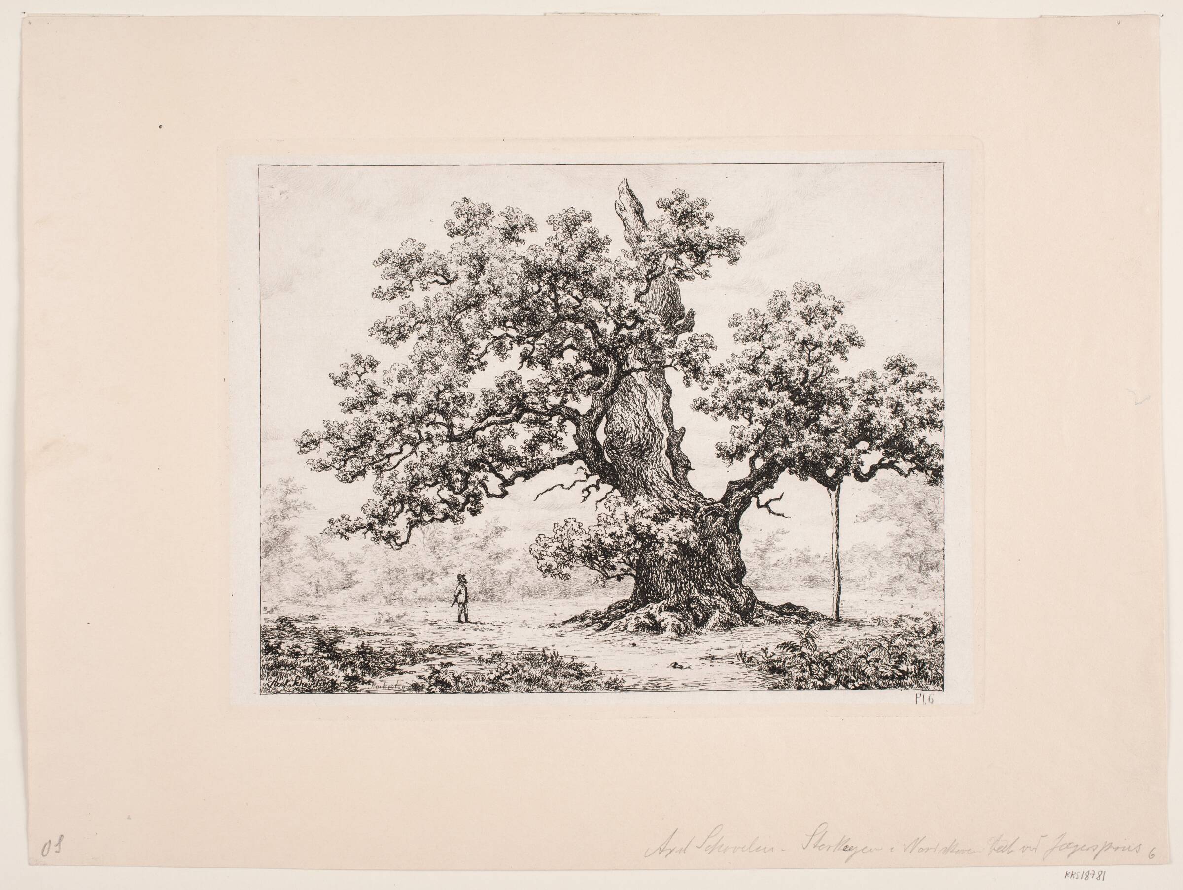 Storkeegen. Jægerspris, Axel Schovelin, 1887
