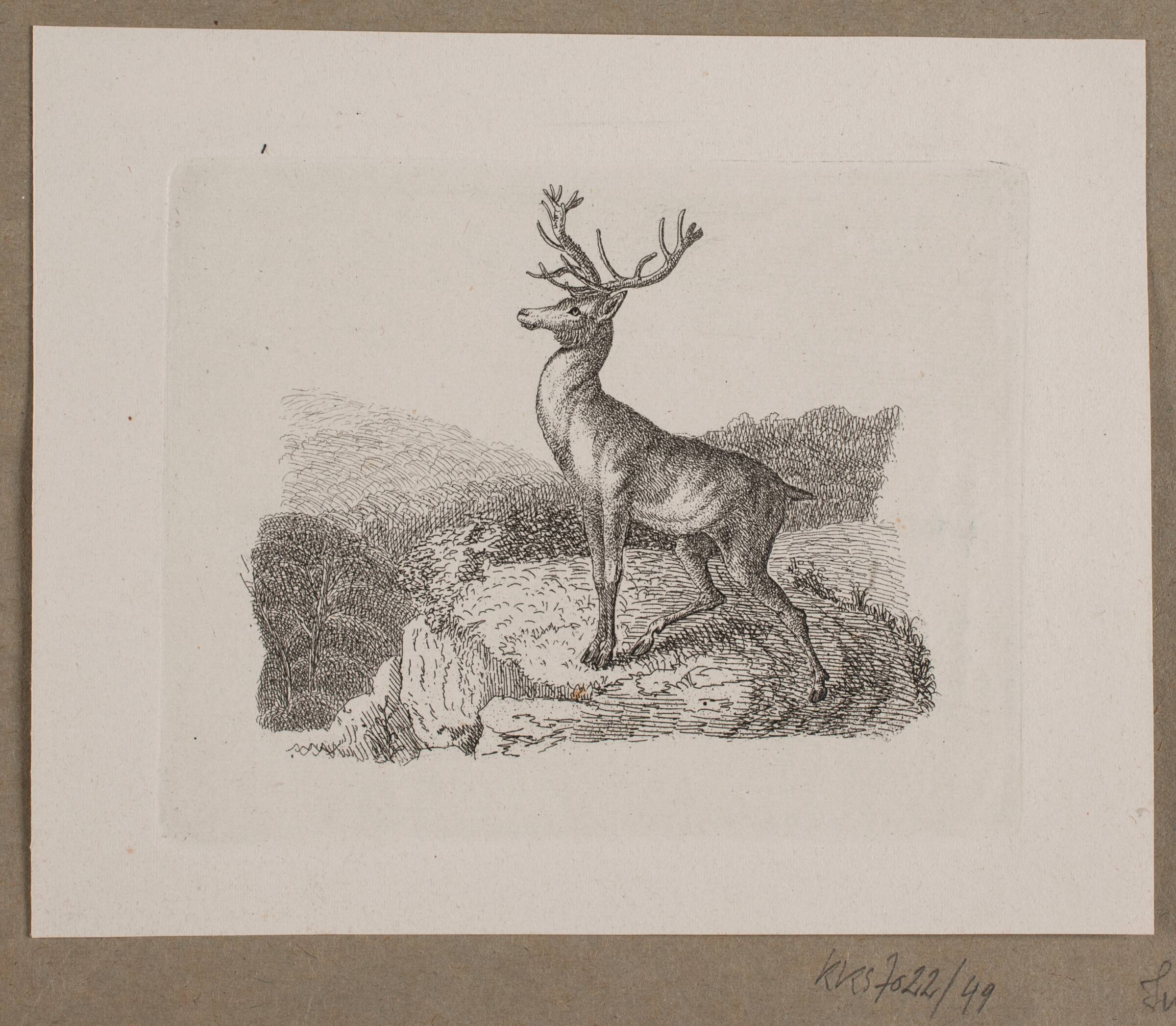 Illustration til O. Specter, "Fabler for Børn", Vilhelm Kyhn, 1838