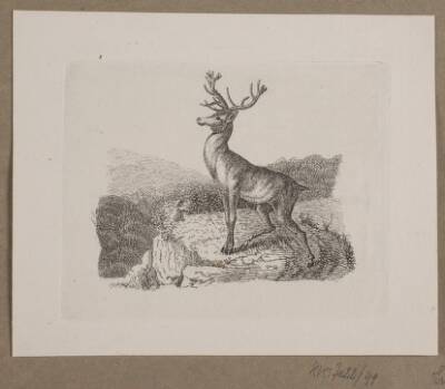 Illustration til O. Specter, "Fabler for Børn"