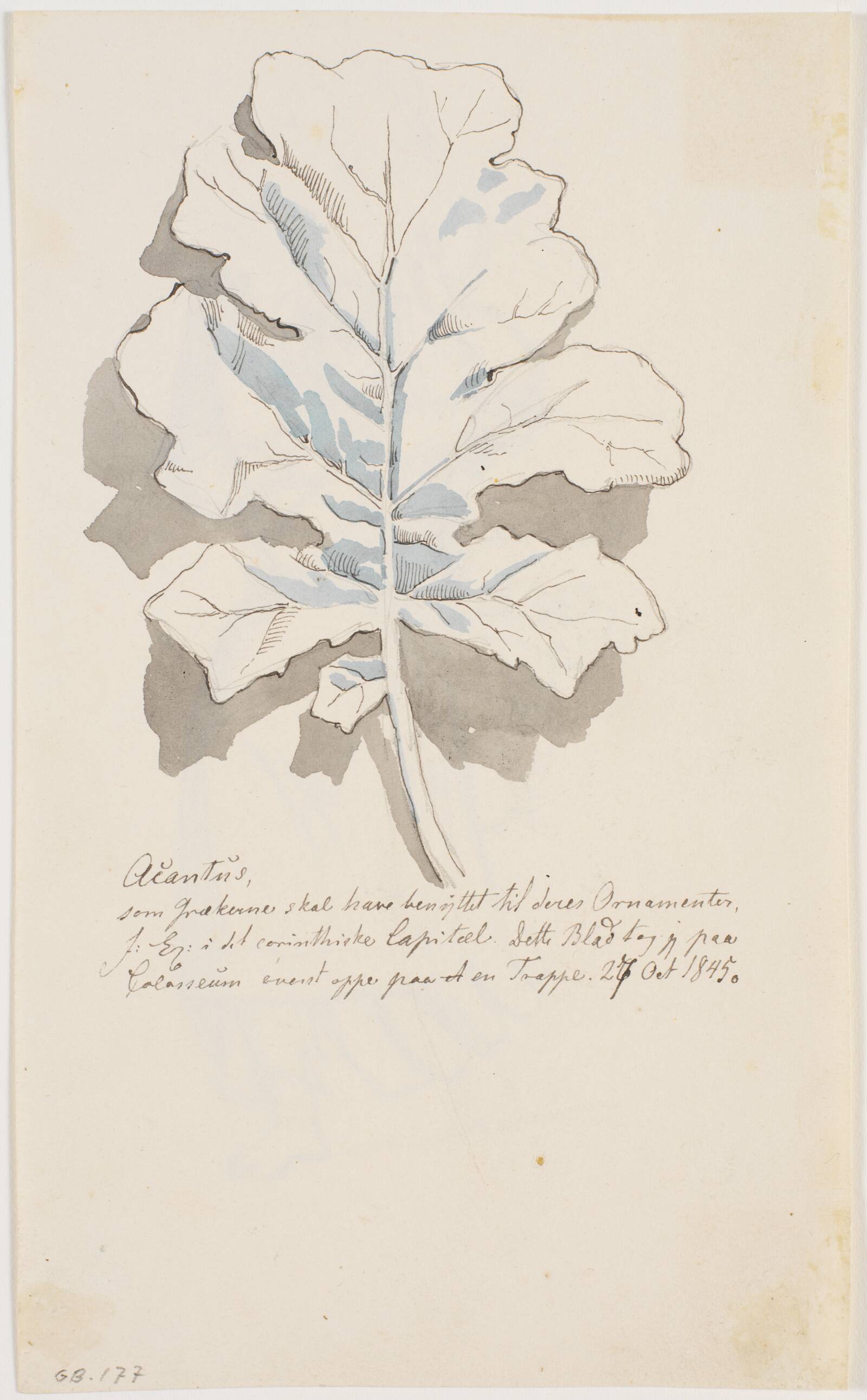 Akantusblad, Johan Thomas Lundbye, 1845
