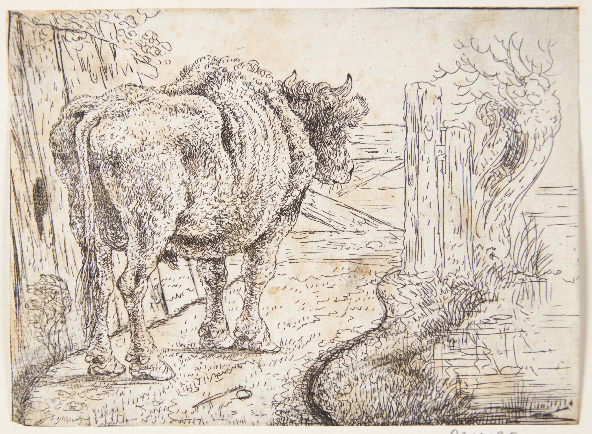 Stående tyr