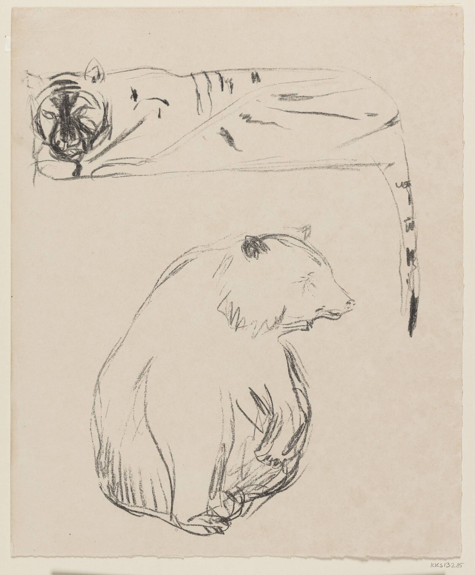 Tiger og bjørn, Edvard Munch, 1908-1909