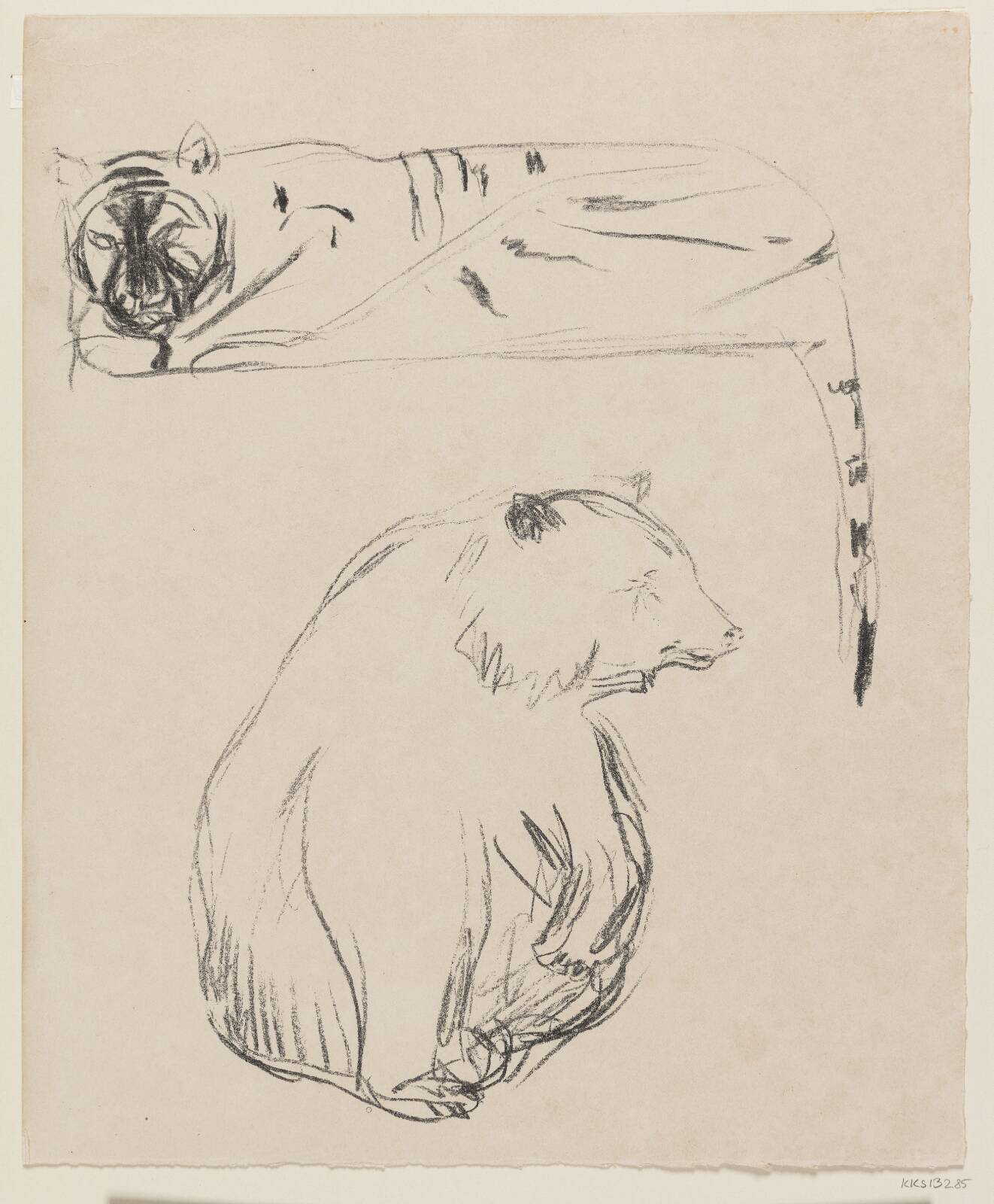 Tiger og bjørn, by Edvard Munch, 1908-1909