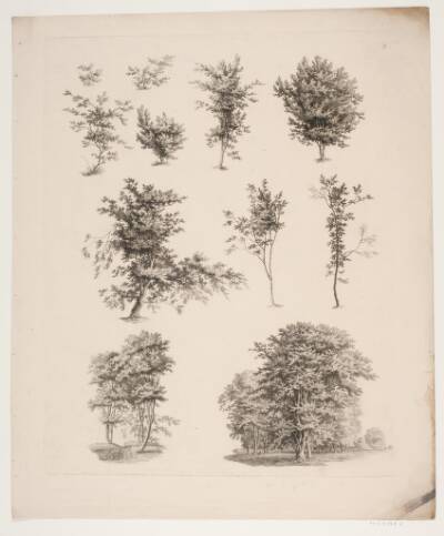 "Studier efter Naturen med Hensyn til Landskabstegning af S.H. Petersen", nr. 3