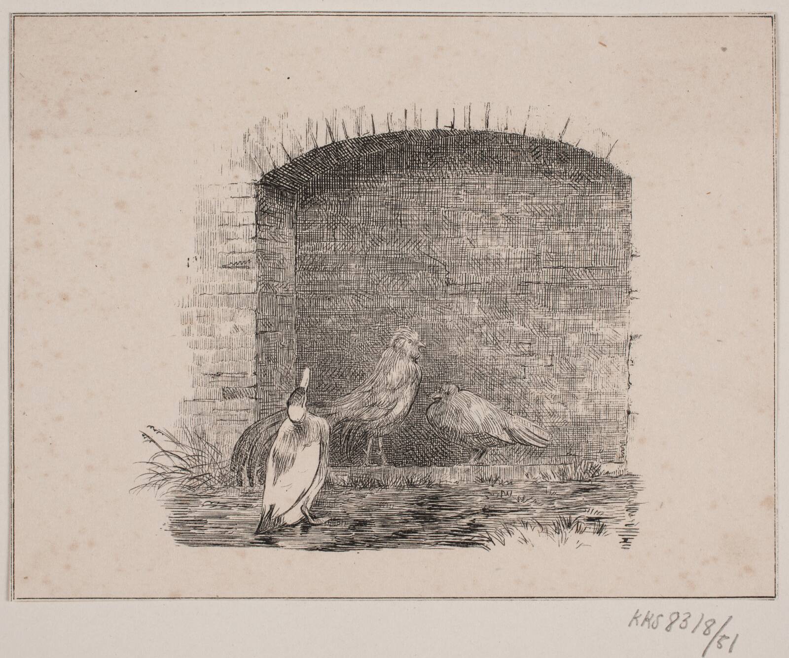 Hønsene og ænderne, Adolph Kittendorff, 1845
