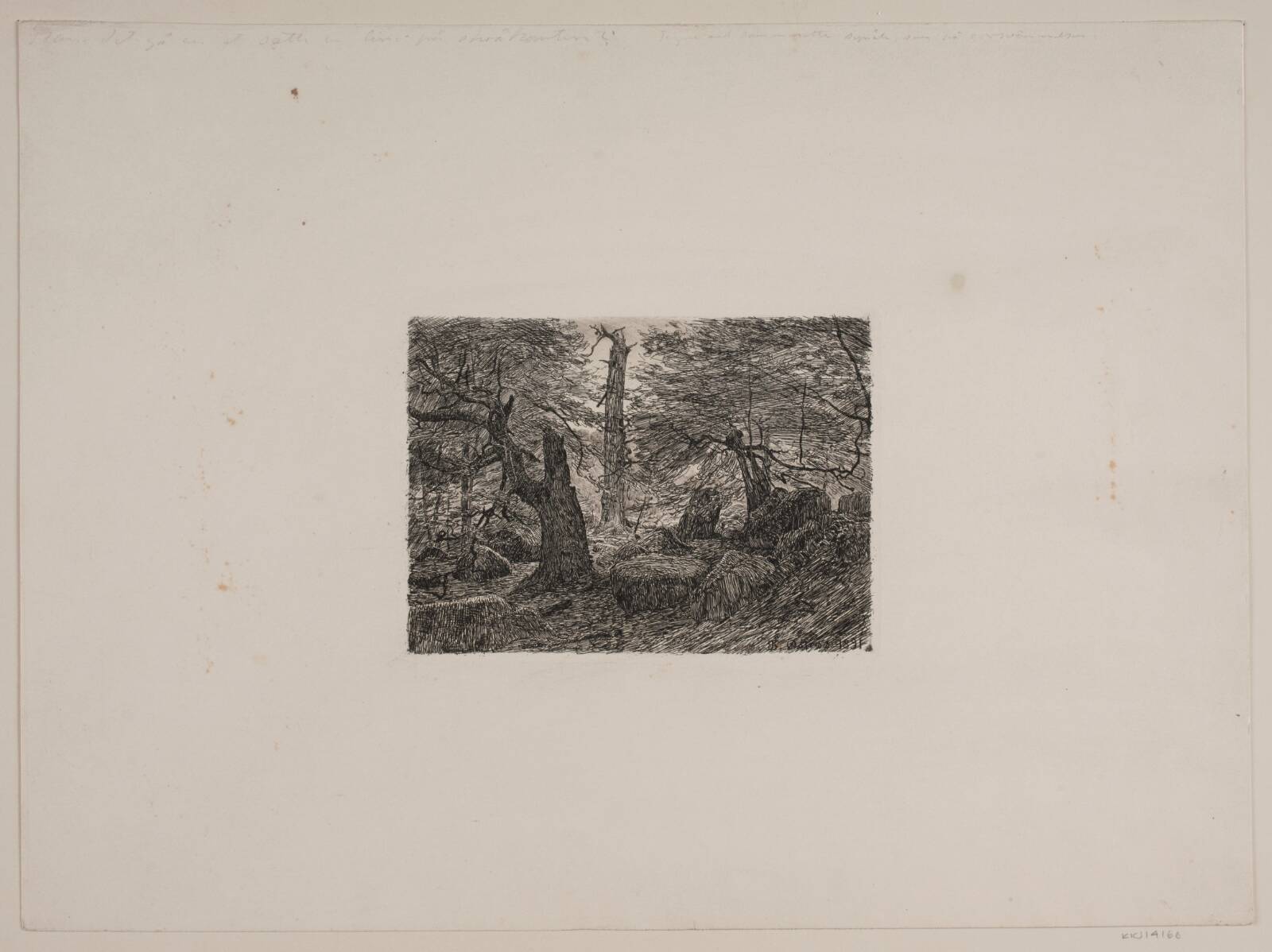 Bøge og sten, Niels Skovgaard, 1891