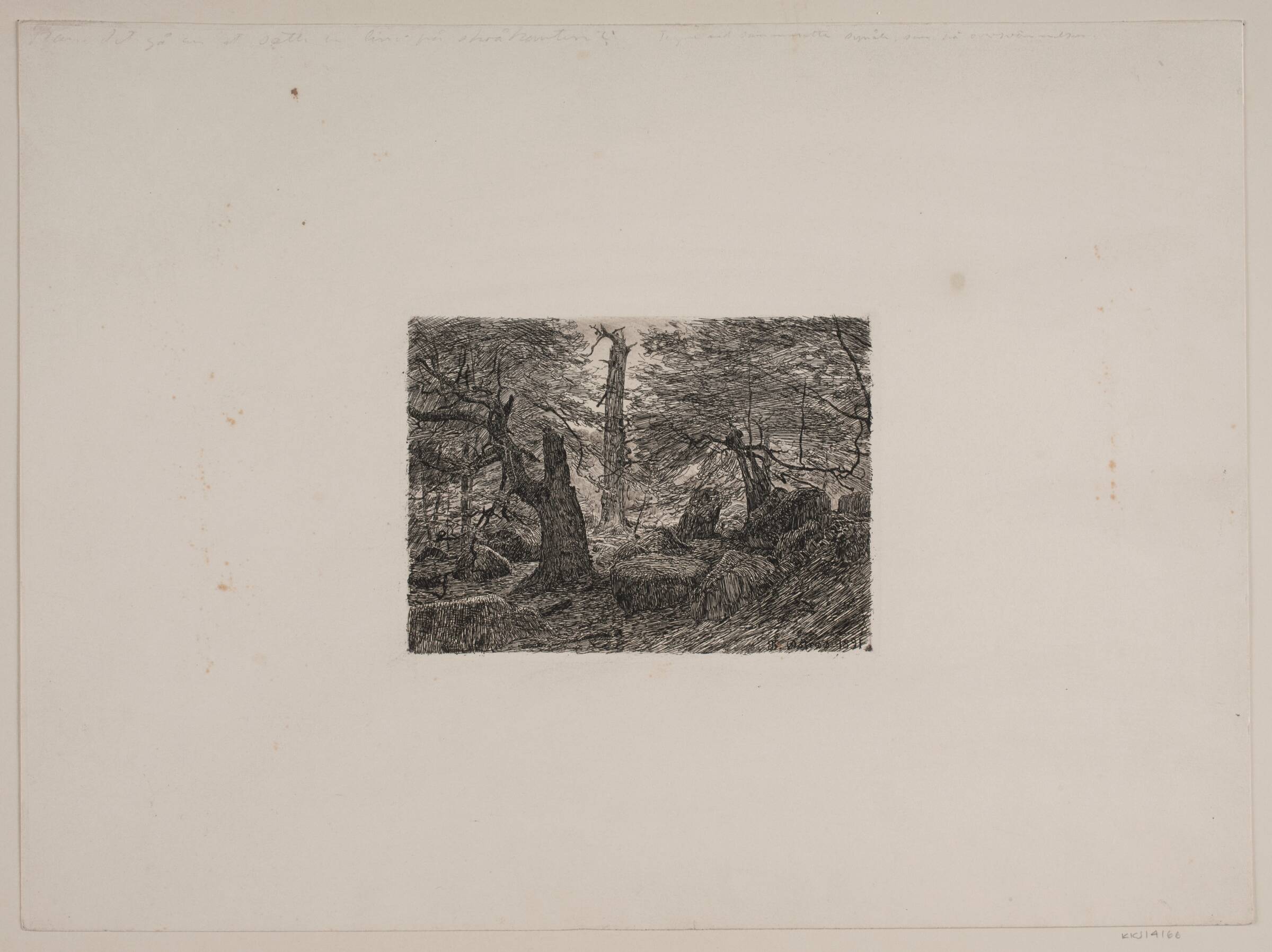 Bøge og sten, Niels Skovgaard, 1891