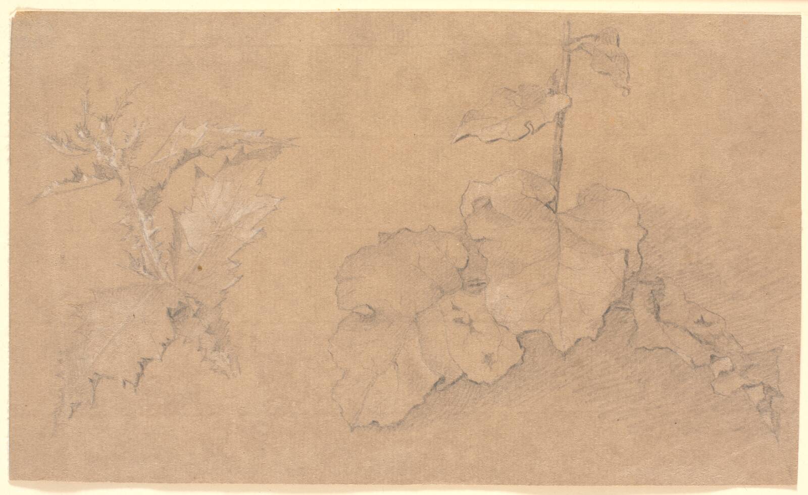 Plantestudier, Christen Købke, 1810-1848