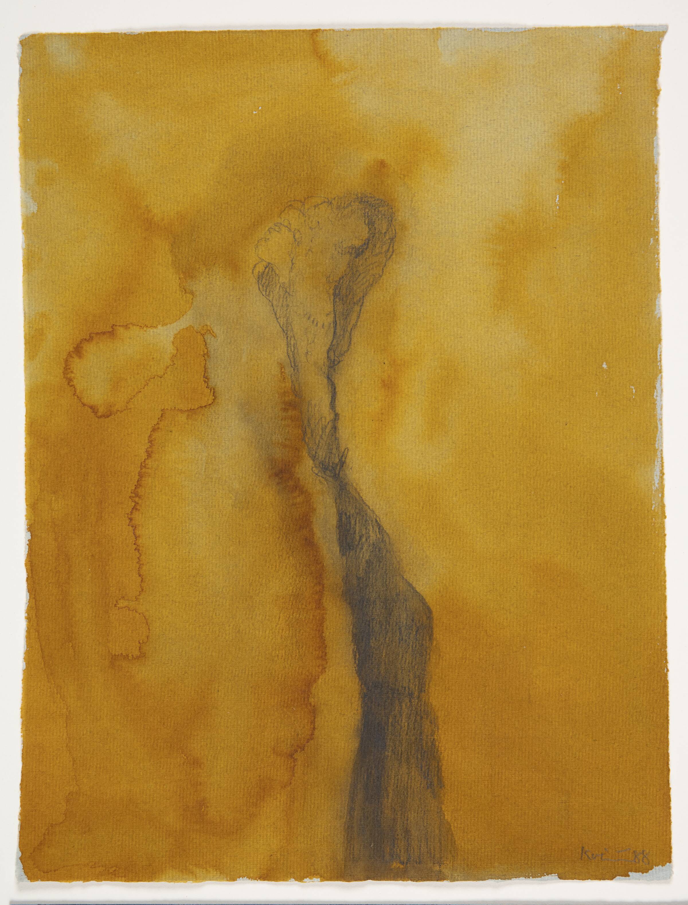 Papirvirus., Michael Kvium, 1988