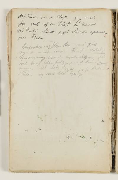 Notater, om slægten og livet; om Bergson der befinder sig på "Vejen der må gås"; om at forliges med tiden