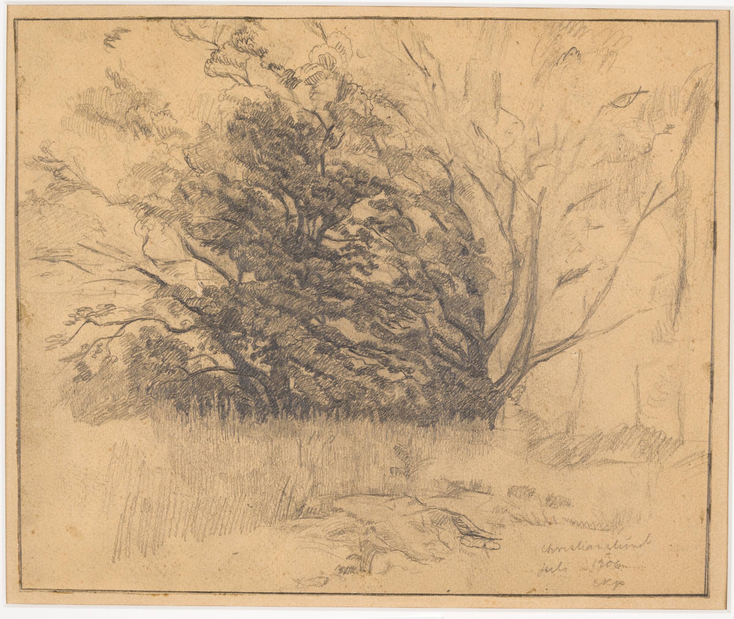 Trægruppe, Christian Kongstad Petersen, 1906