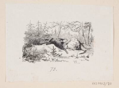 Illustration til "Grantræet" i H.C. Andersen, "Eventyr og Historier", Bind 1