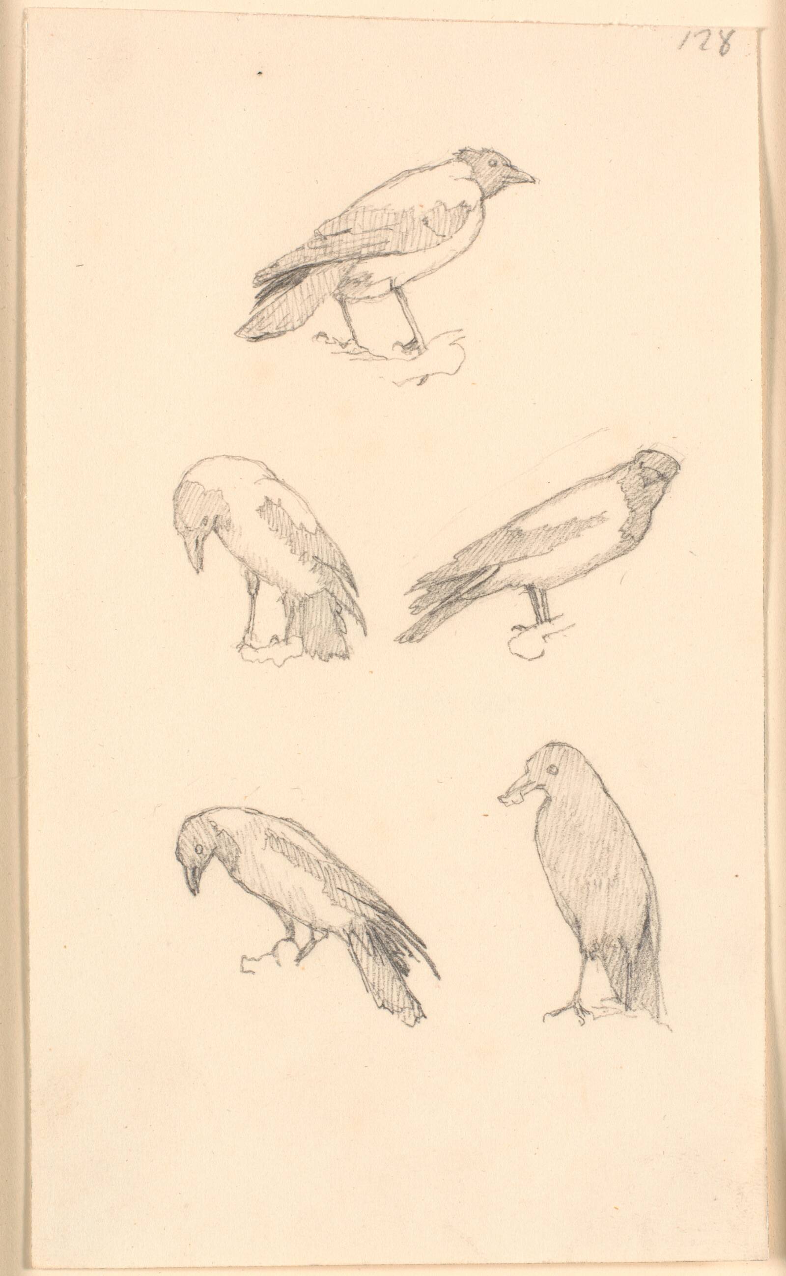 Krager, Christen Købke, 1810-1848