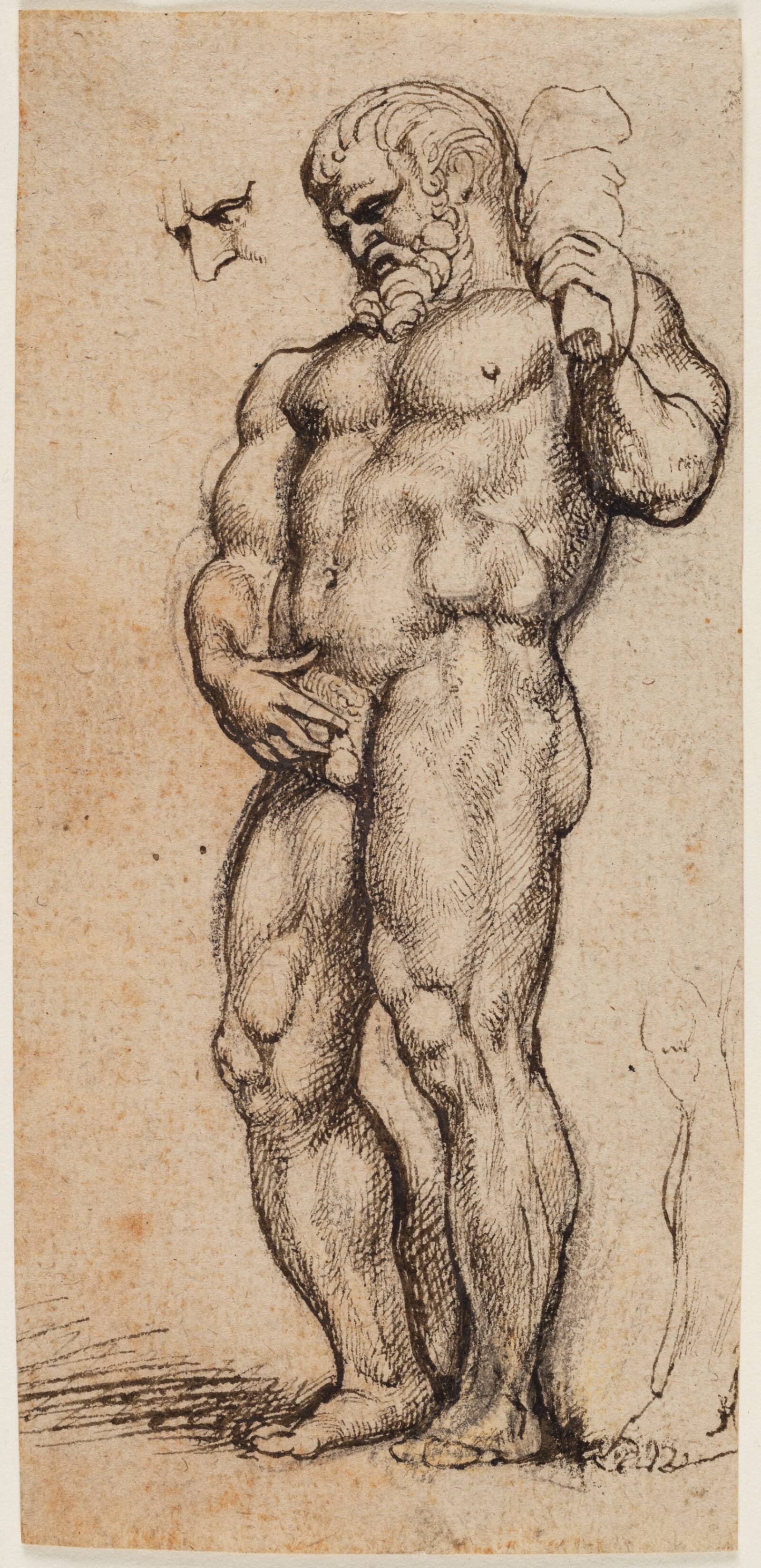 Herkules, Anthony van Dyck, 1550-1650