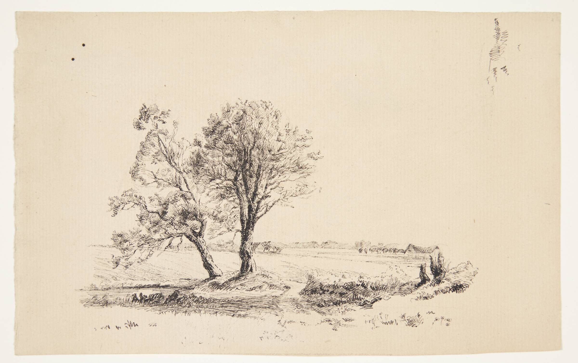 Landskab med piletræer ved et vandløb, Louise Ravn-Hansen, 1864-1909