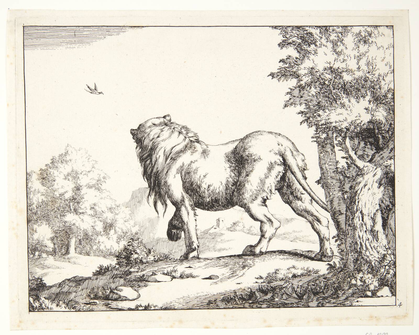 Stående løve, set bagfra, Marcus de Bye, 1664