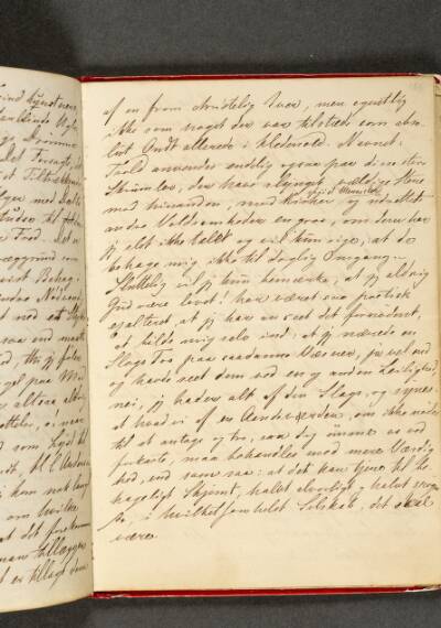 Nissen og Trolden. Dagbog. Side 133