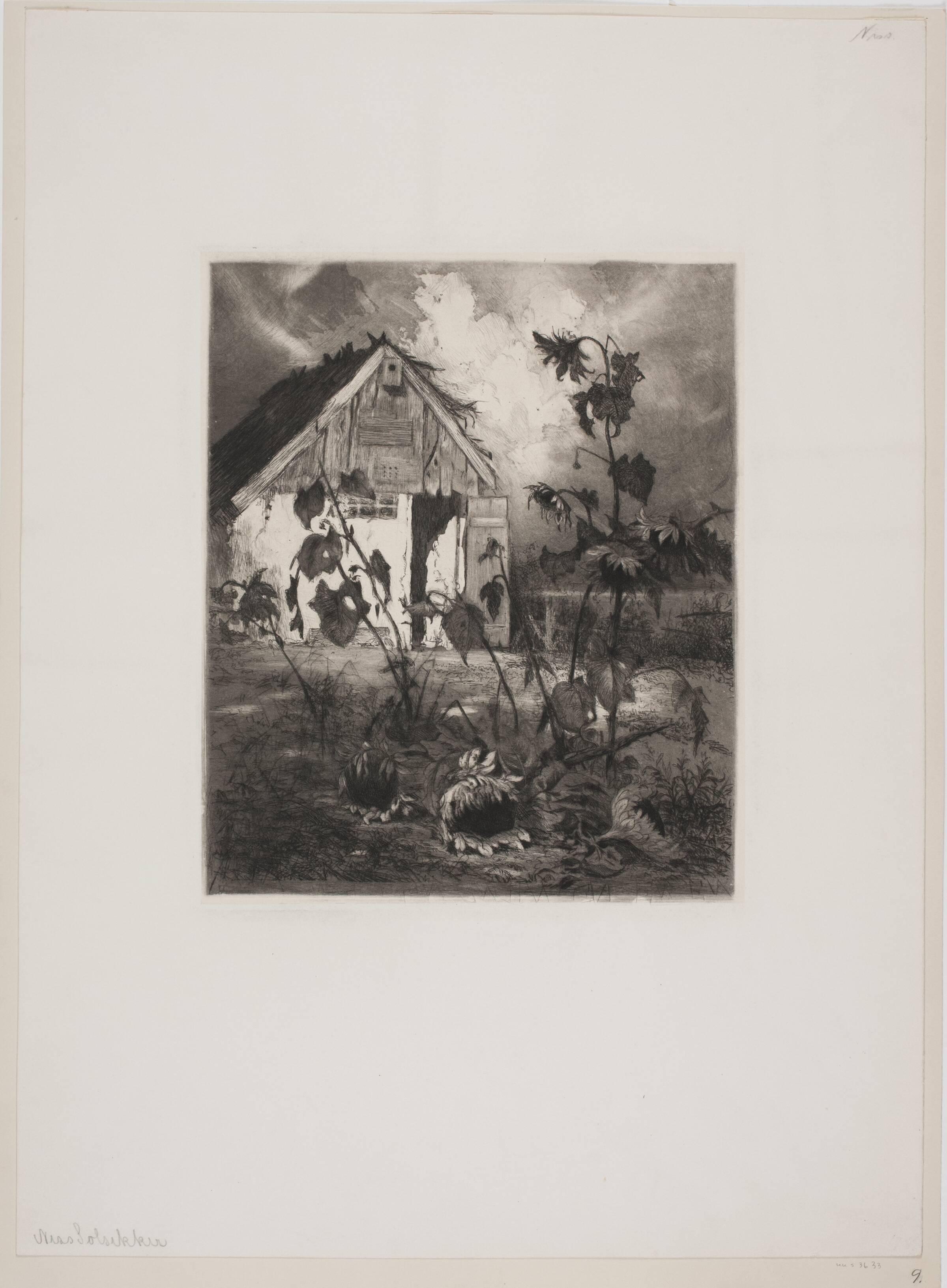 Solsikkerne ved huset, Thorvald Niss, 1894-1899
