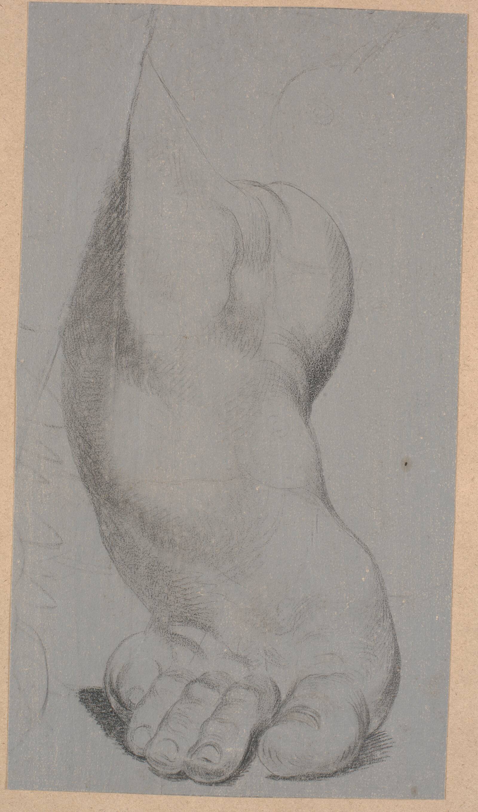 Studie af en fod, Ubekendt, 1778-1809