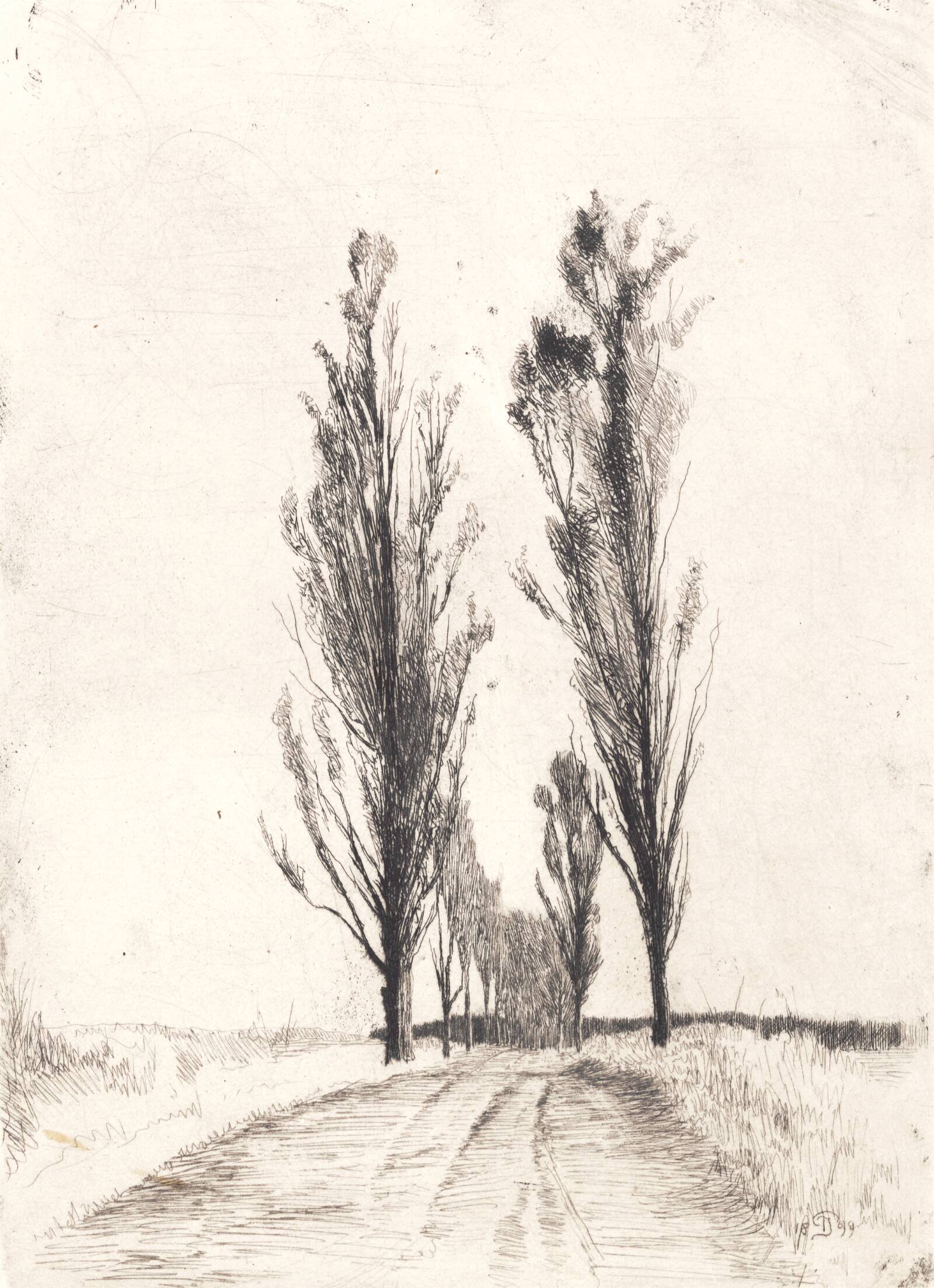 Poppelallé, Peter Ilsted, 1899