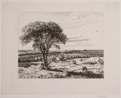 Landskab ved Roskilde Landevej