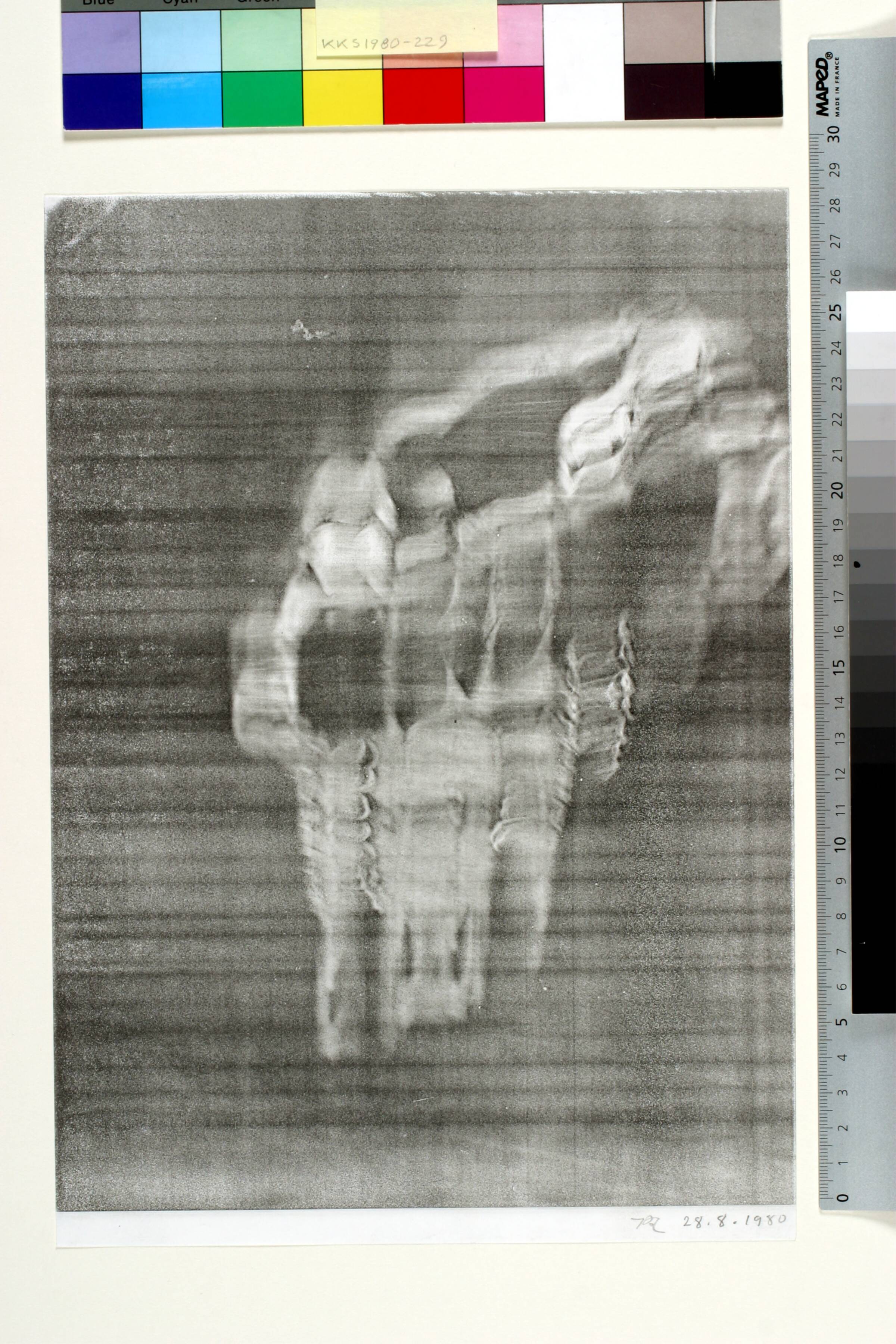 Fårekranium, Jørgen Rømer, 1980