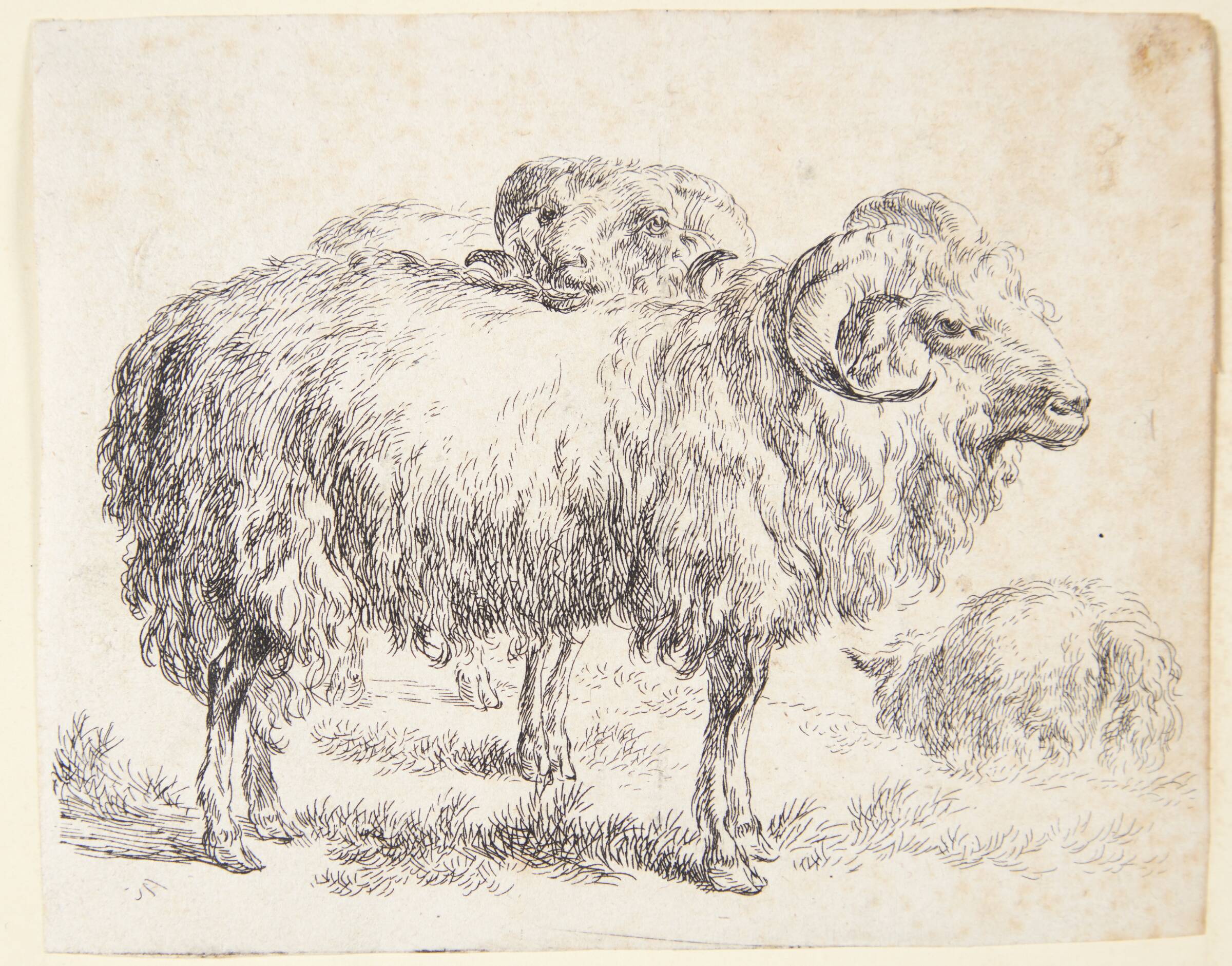 To væddere, Nicolaes Berchem, 1620-1683