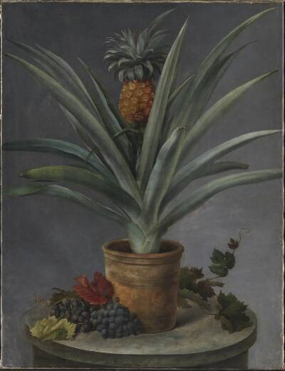 En ananas i urtepotte og druer på et stenbord