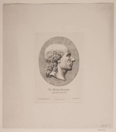 Ole Johan Samsøe