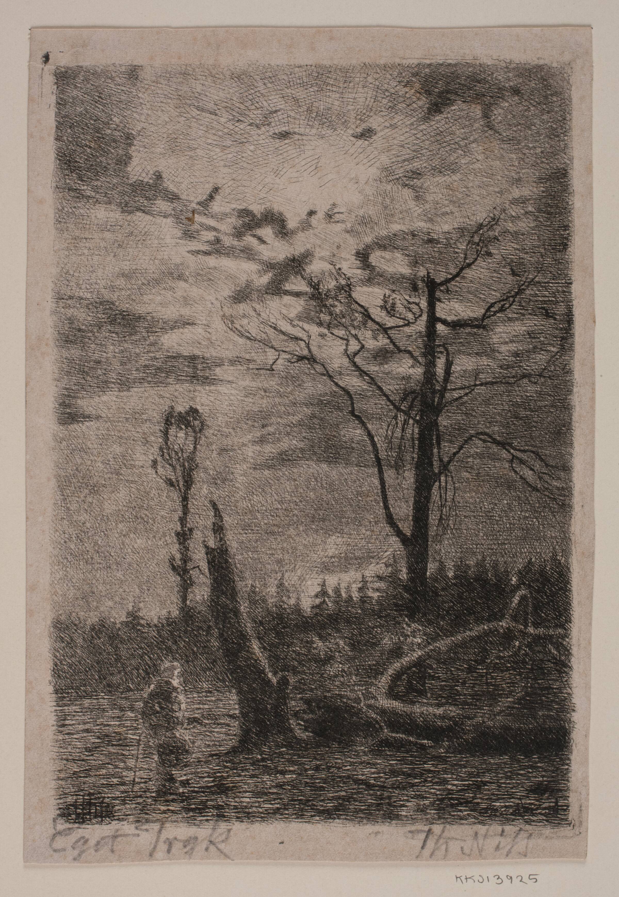 Skovrydning. Aften, Thorvald Niss, 1842-1905