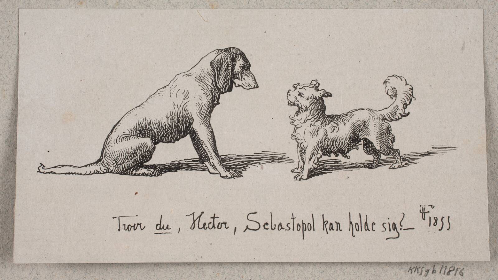 To hunde, Ubekendt, 1855