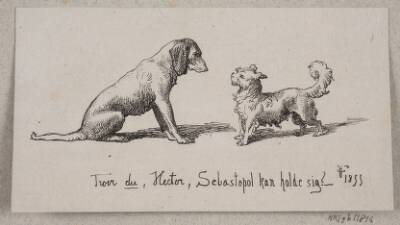 To hunde