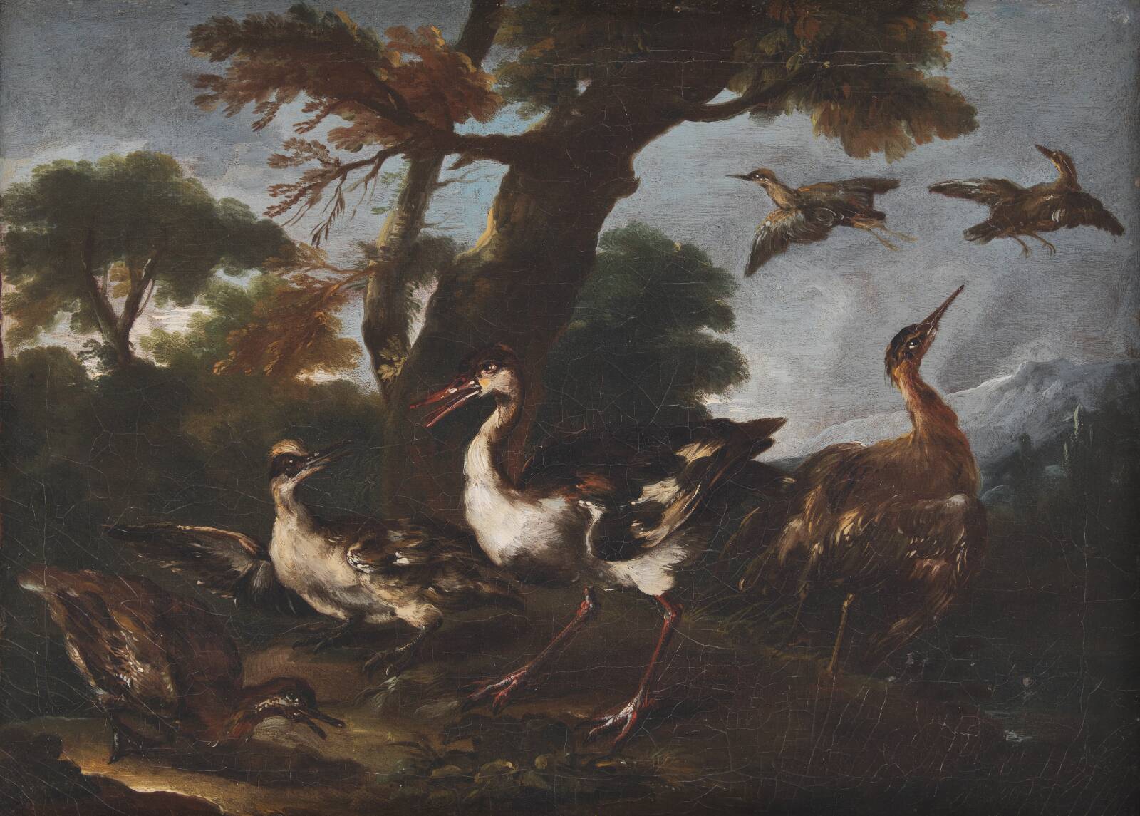 Landskab med fugle, Angelo Maria Crivelli, 1665-1730