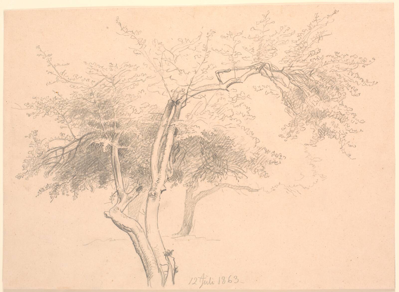 Studie af trætoppe., P.C. Skovgaard, 1863