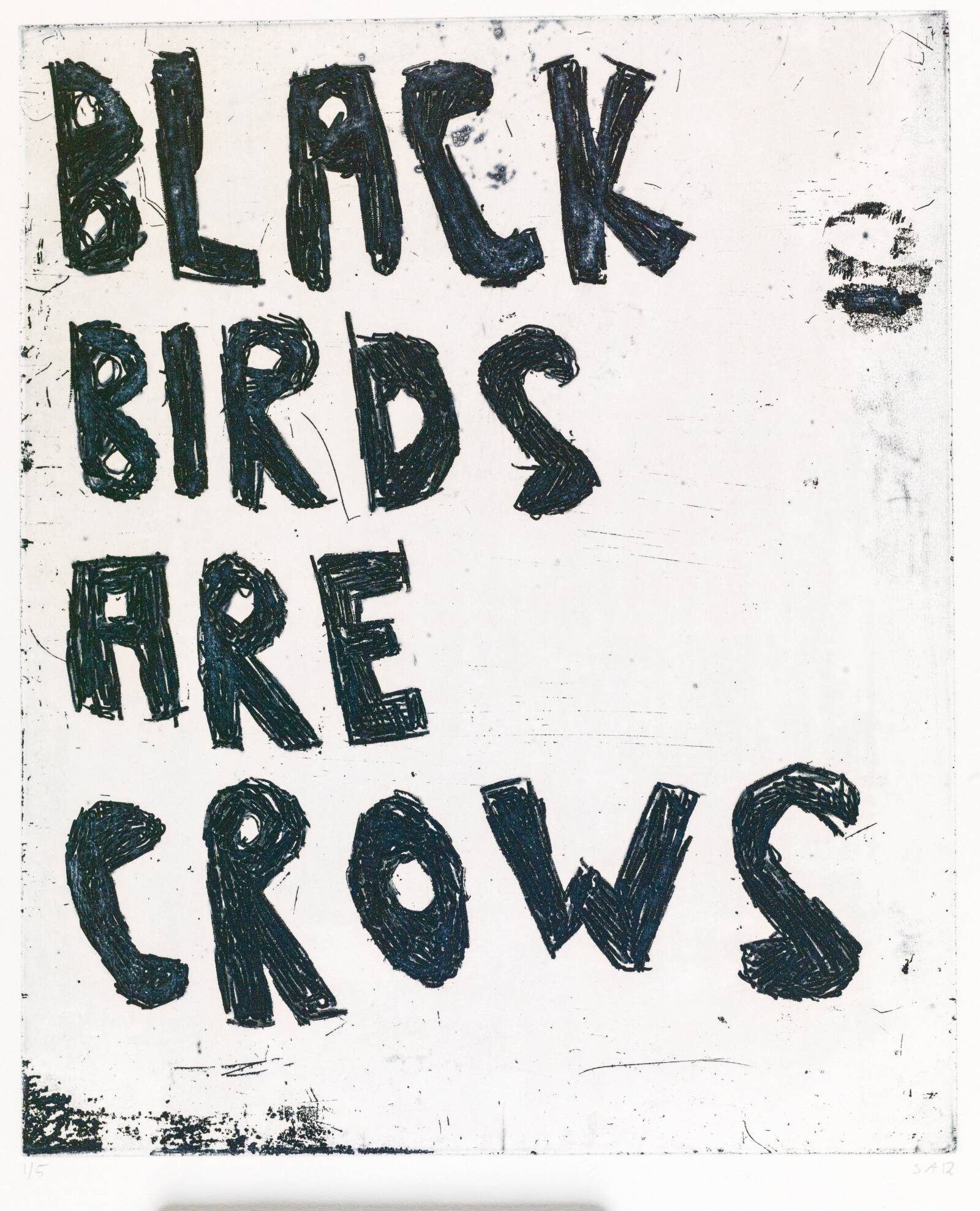BLACK BIRDS ARE CROWS, Svend-Allan Sørensen, 2012