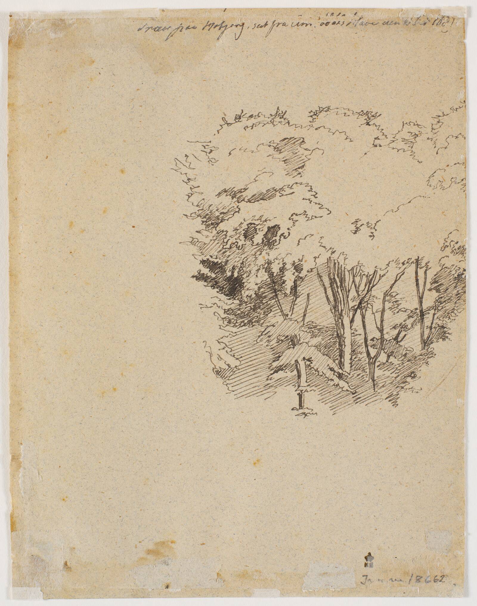 Studie af træer, Johan Thomas Lundbye, 1839
