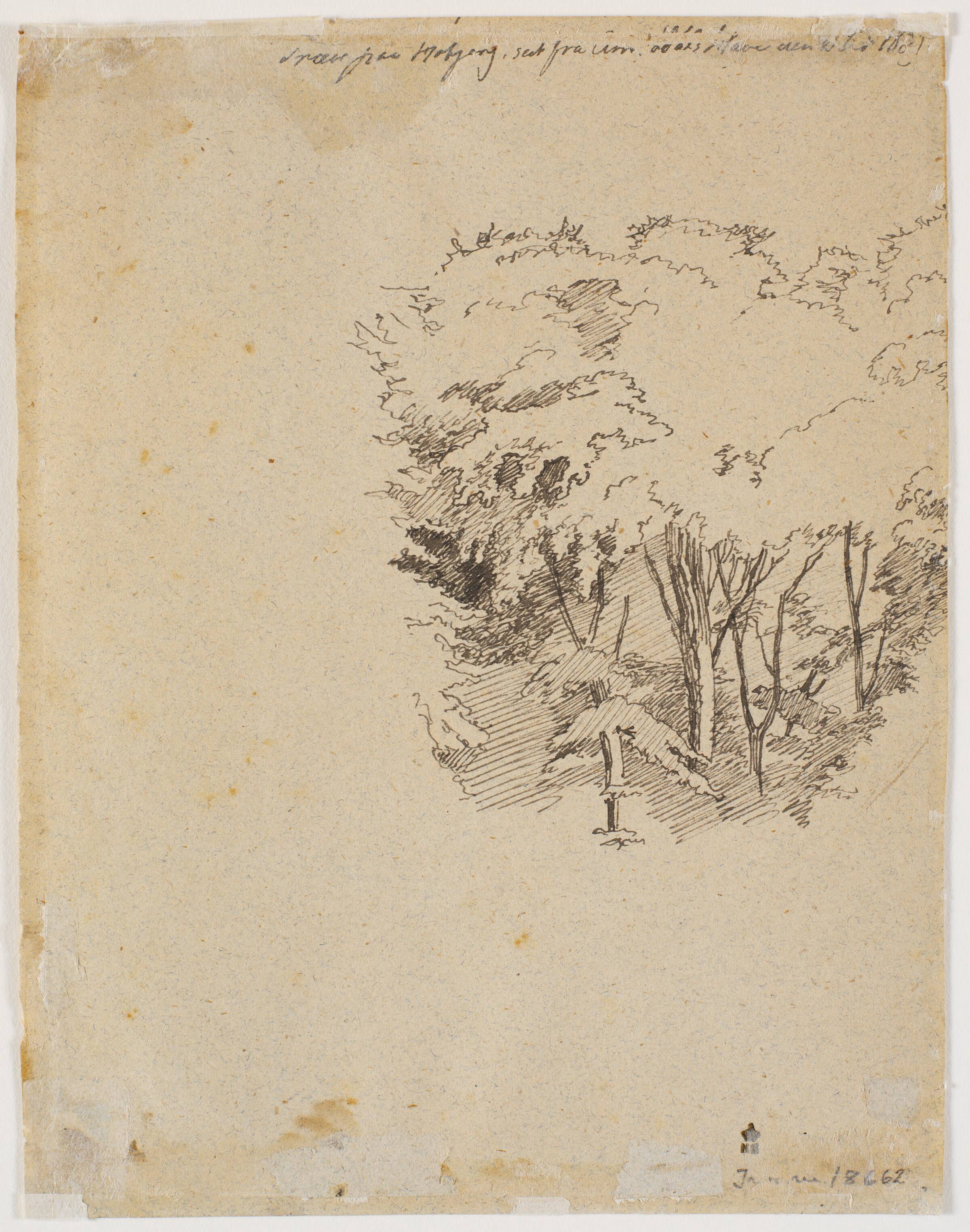 Studie af træer, Johan Thomas Lundbye, 1839