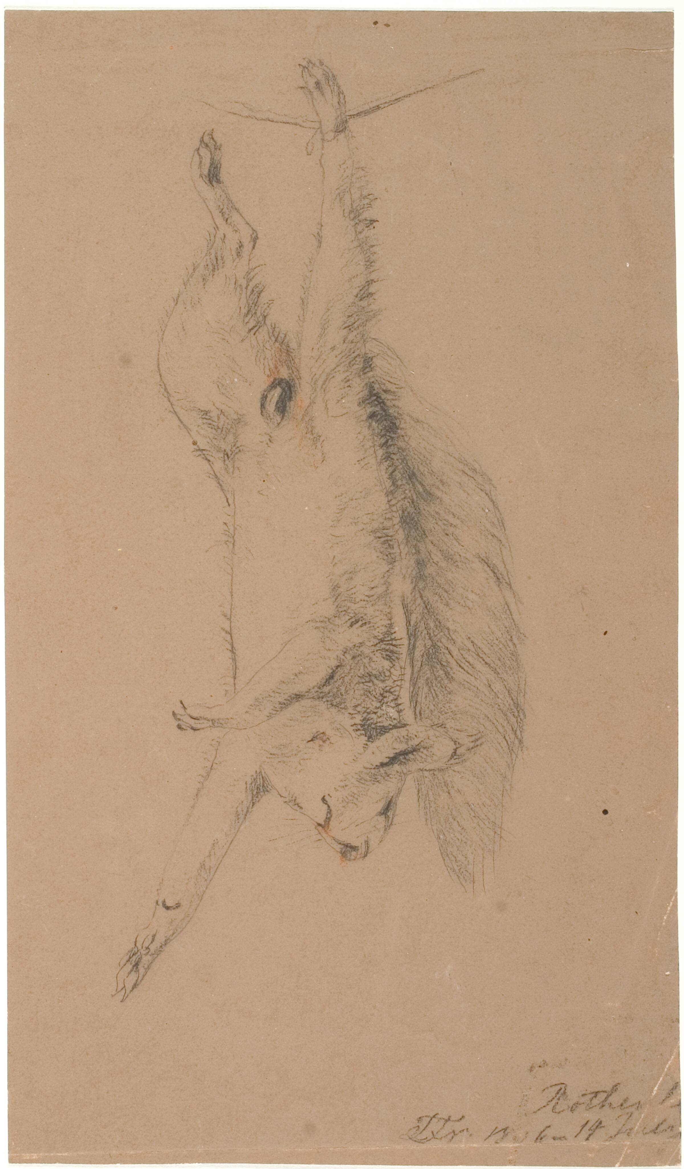 Et ophængt dødt egern, Lorenz Frølich, 1836
