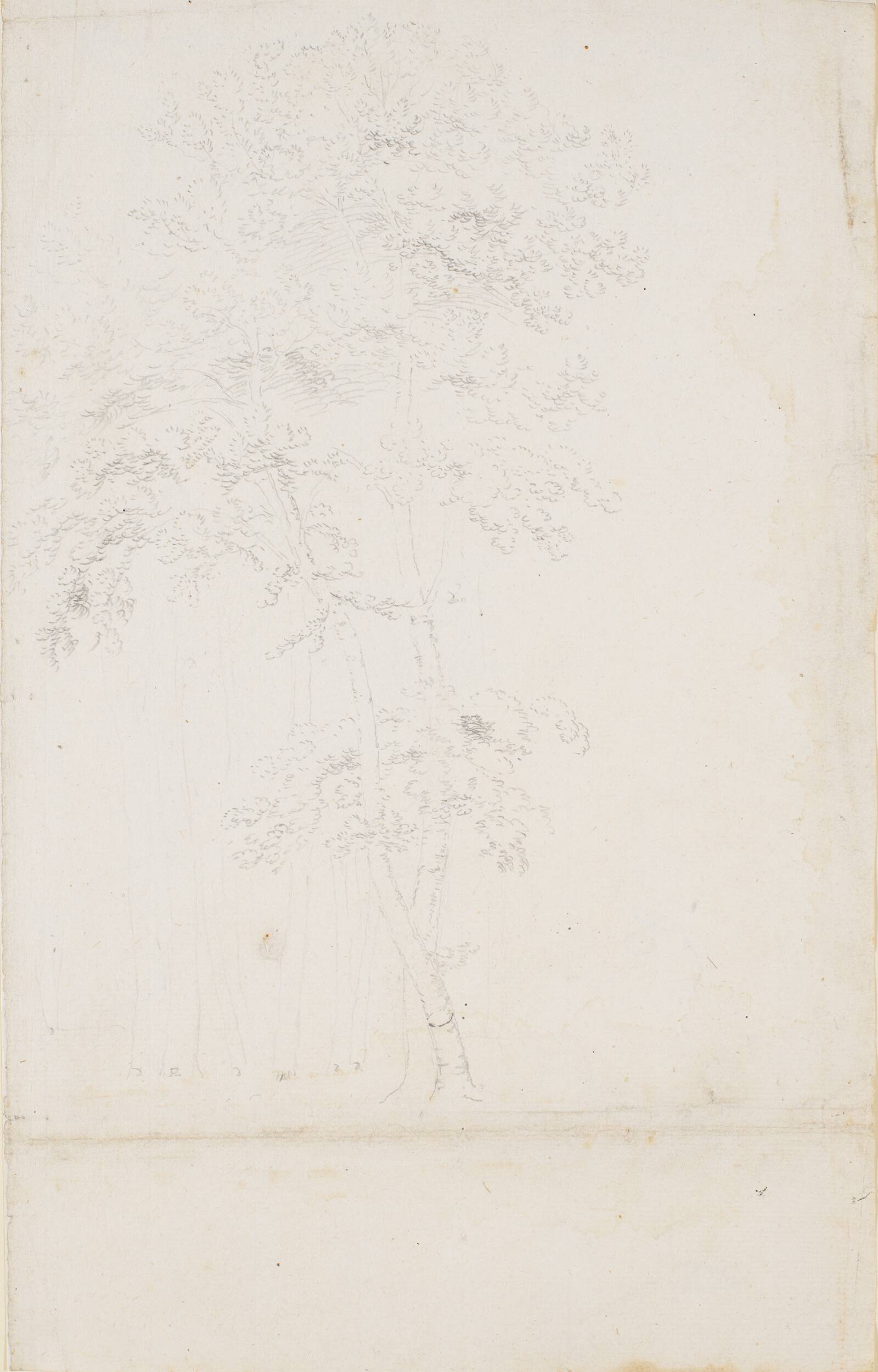 Studie af en trægruppe, Jens Juel, 1714-1802