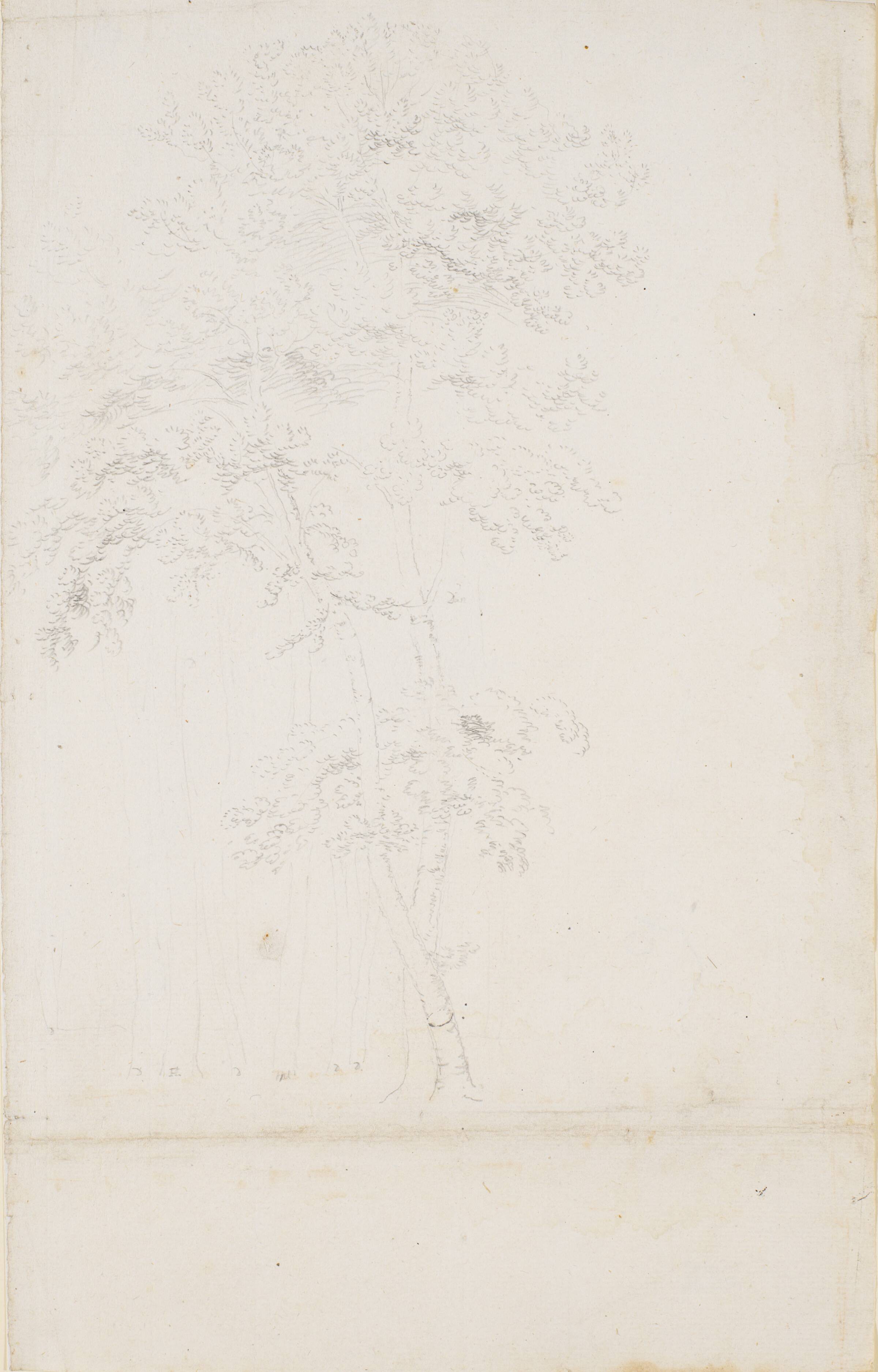 Studie af en trægruppe, Jens Juel, 1714-1802