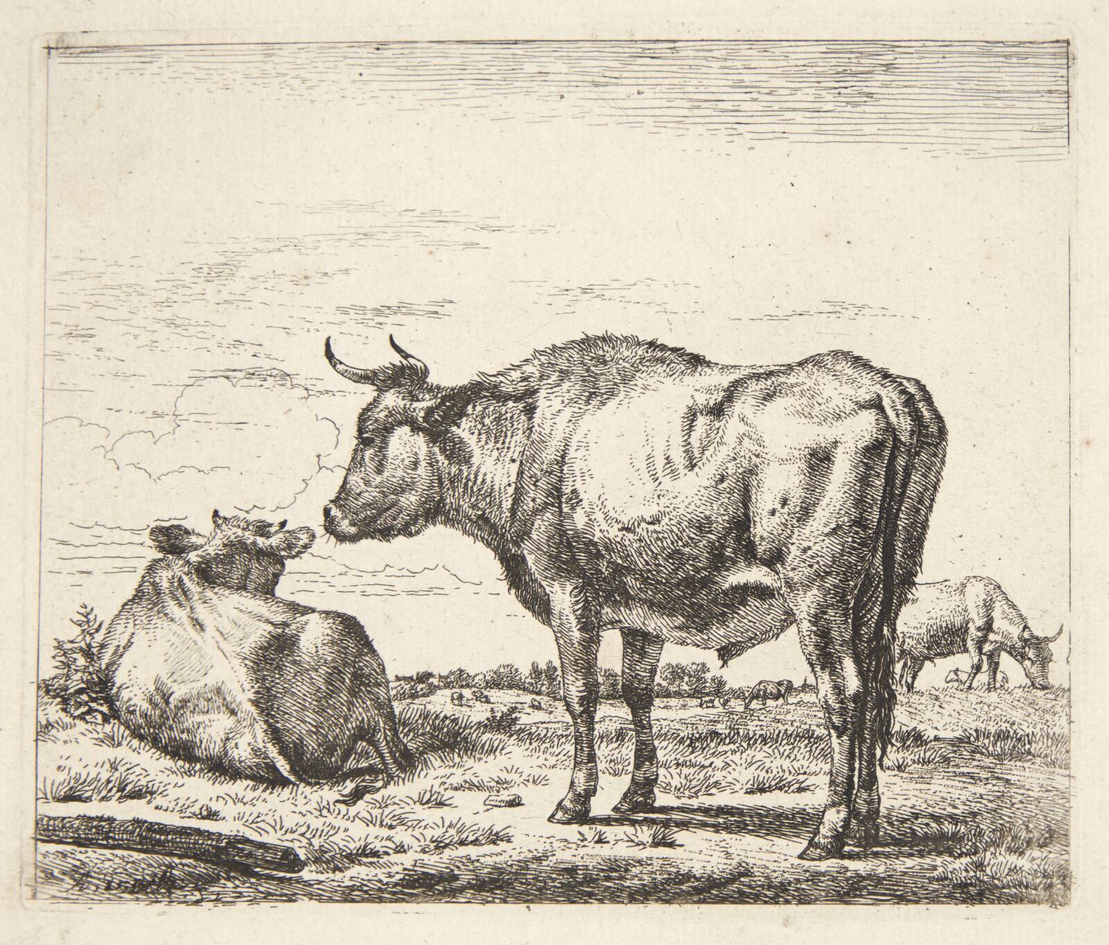 Stående tyr, Adriaen van de Velde, 1636-1672