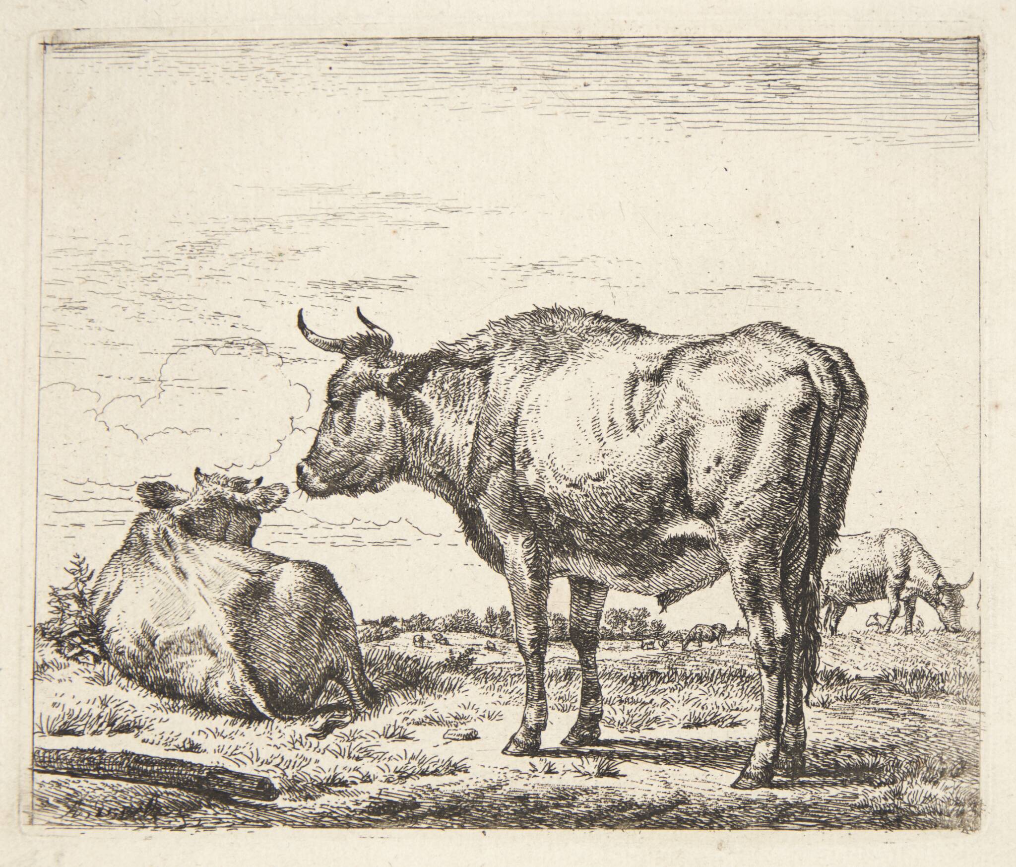 Stående tyr