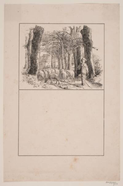 Vogterdrengen