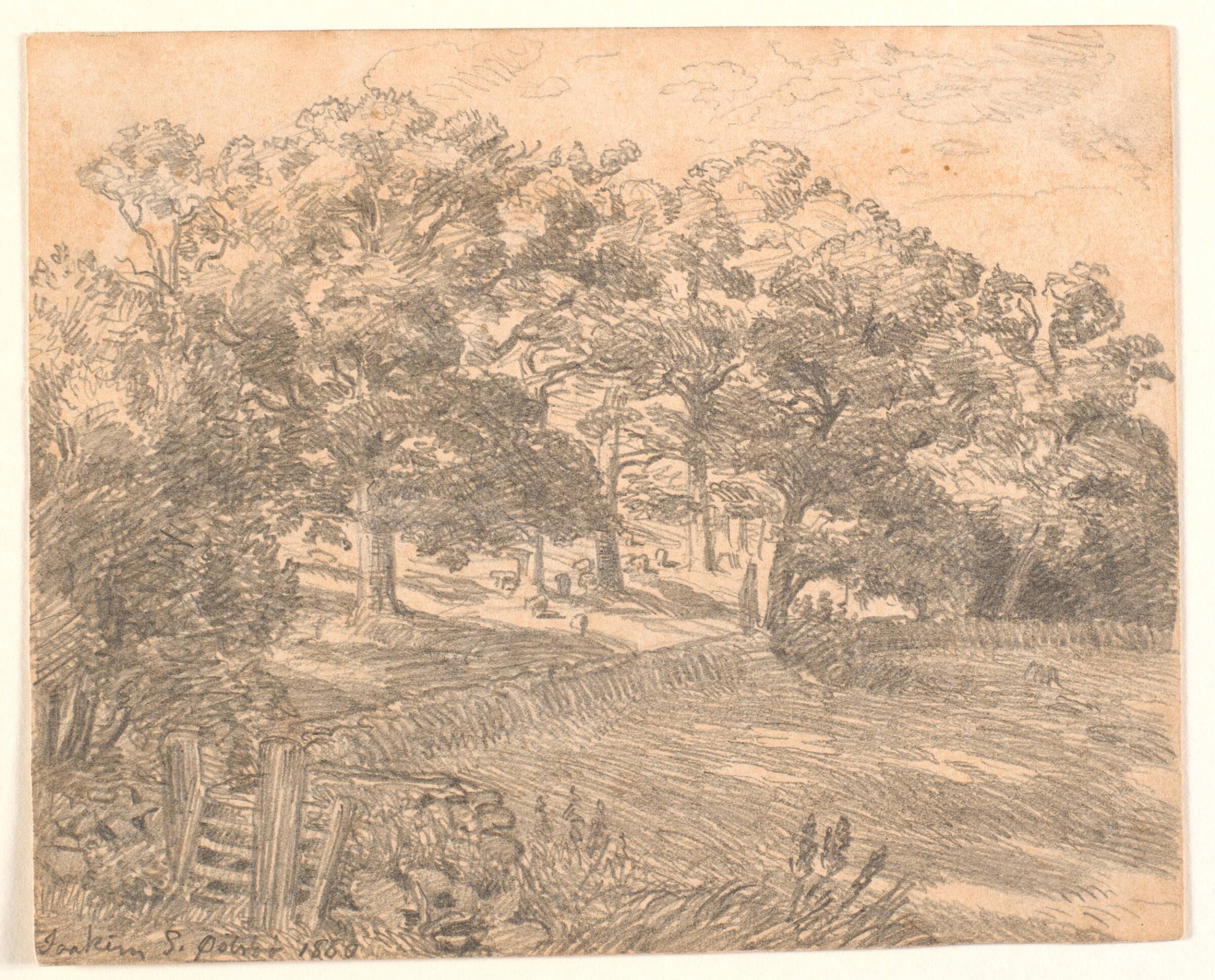 Et skovbryn, Joakim Skovgaard, 1880