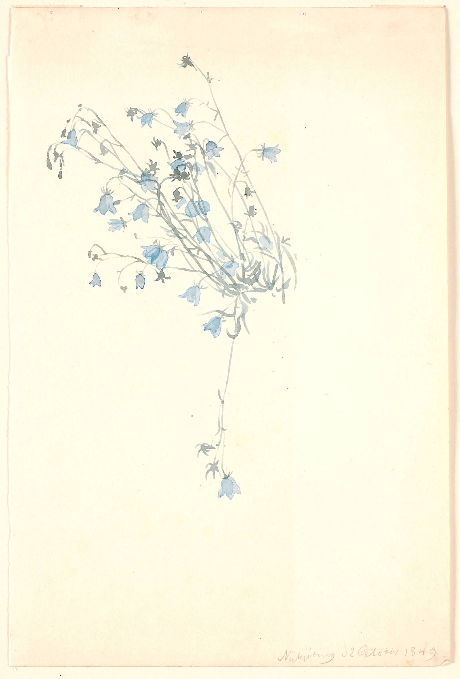 Klokkeblomster., P.C. Skovgaard, 1849