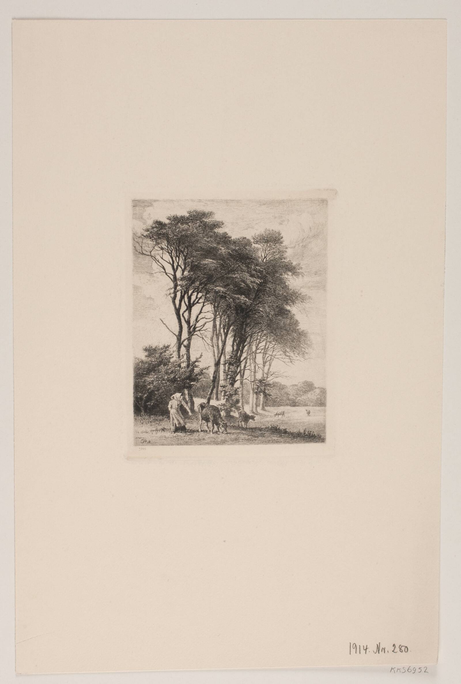 Landskab. Køer ved en skov, Edvard Petersen, 1901