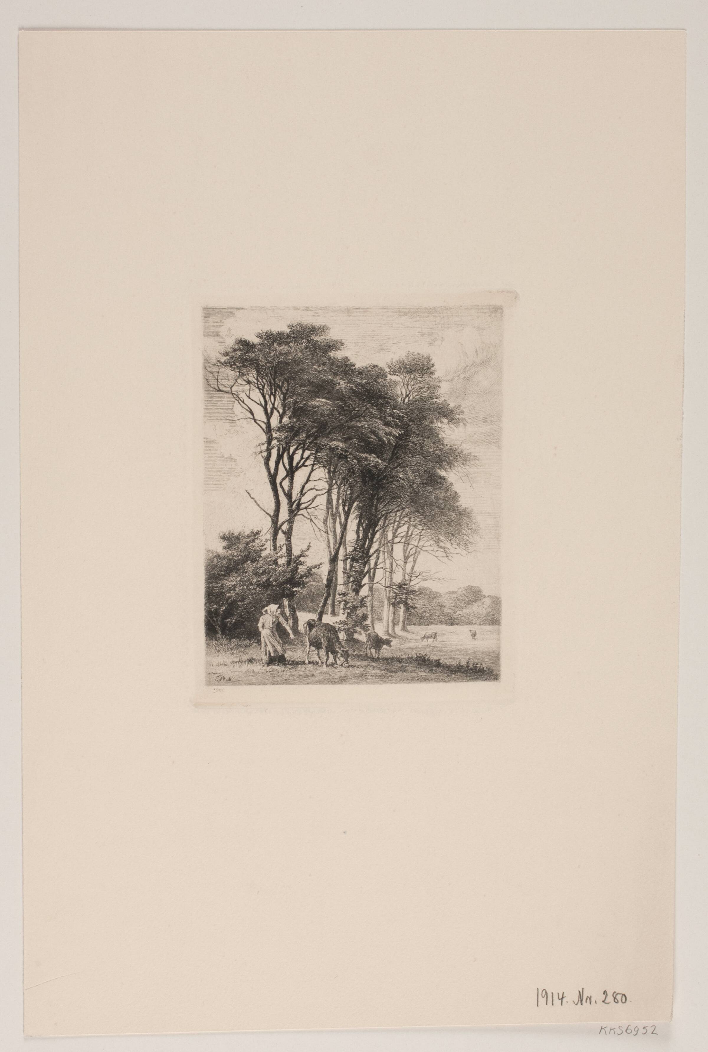 Landskab. Køer ved en skov, Edvard Petersen, 1901